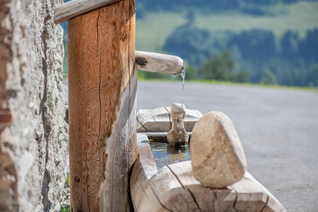 Silentium Dolomites Chalet Since 1600 مونغيلفو المظهر الخارجي الصورة