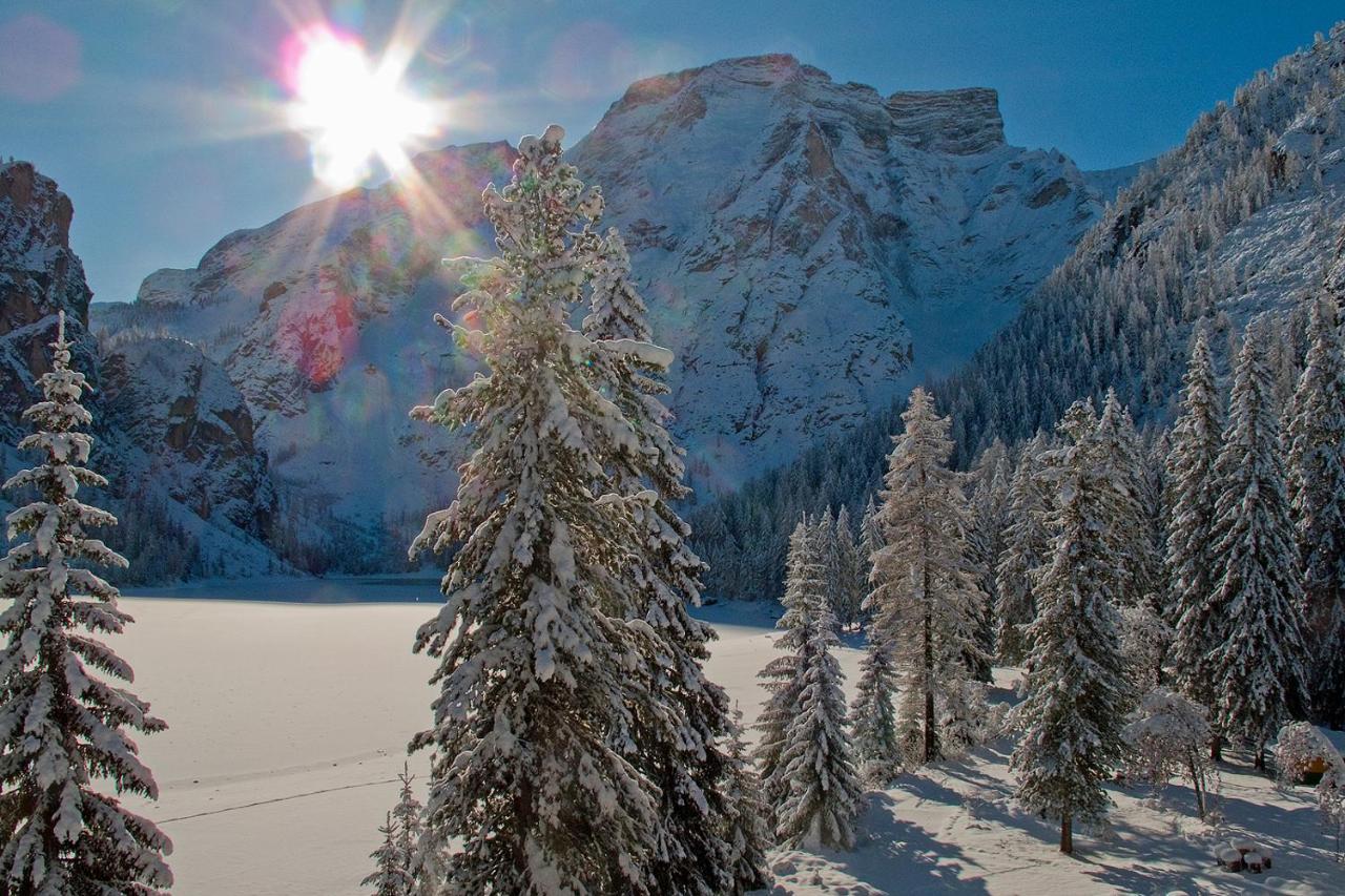 Silentium Dolomites Chalet Since 1600 مونغيلفو المظهر الخارجي الصورة